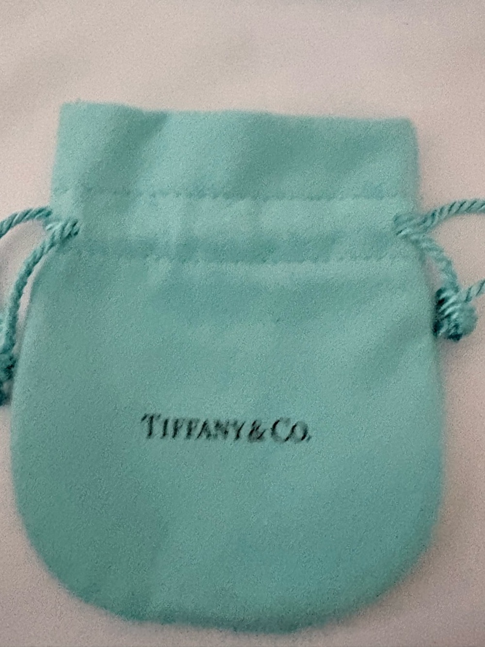 Tiffany & Co. Elsa Peretti® Bean Pendant Necklace - Authentic - Picture 9 of 11